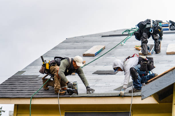 Professional Roof Inspection technician working in North Eastham, MA